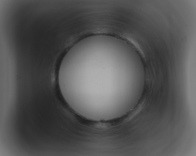 X0000101950261200807180708