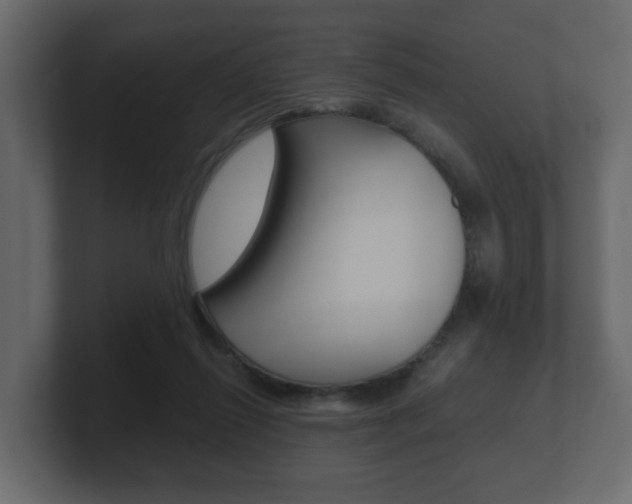 X0000101950262200807180708