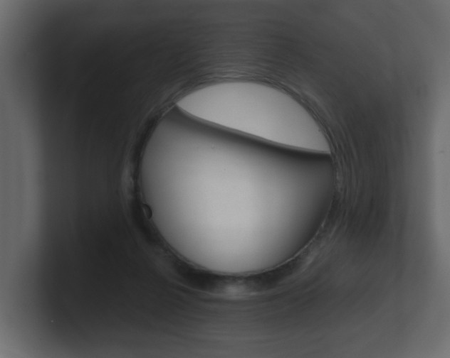 X0000101950264200807180708