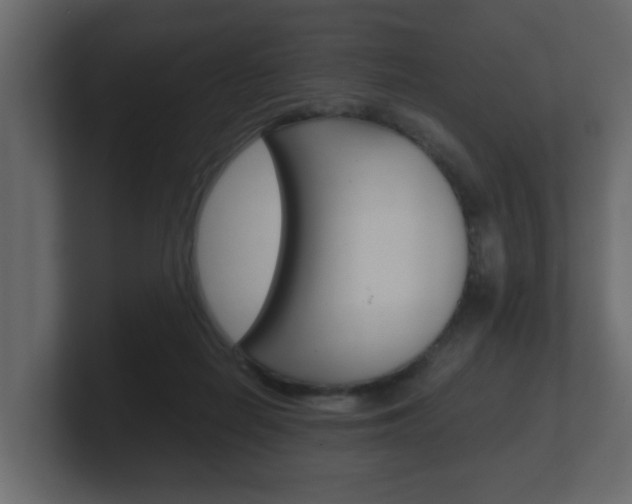 X0000101950266200807180709