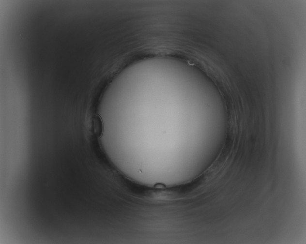 X0000101950268200807180709