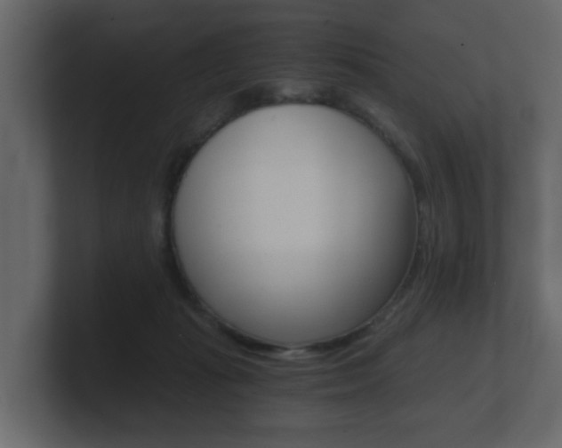 X0000101950269200807180709