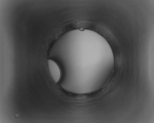 X0000101950271200807180709