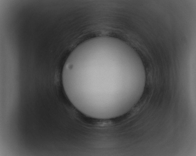 X0000101950274200807180709