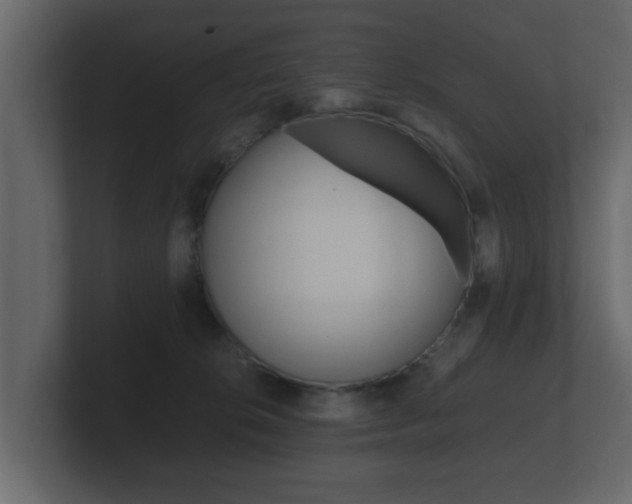 X0000101950276200807180709