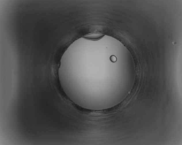 X0000101950280200807180709