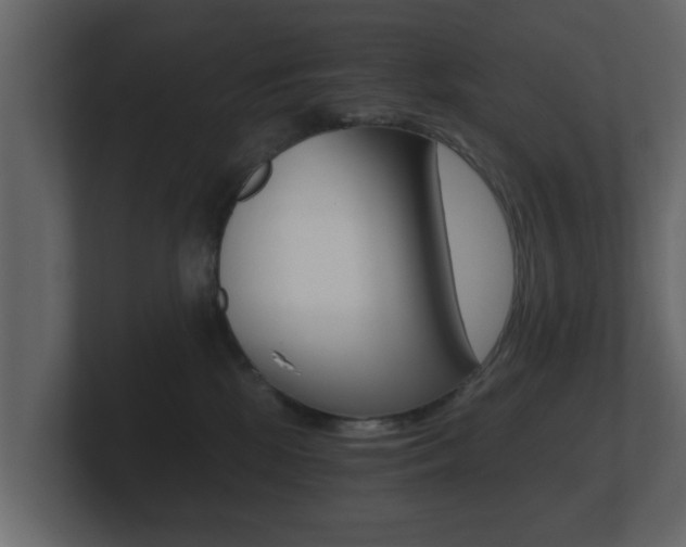 X0000101950281200807180709