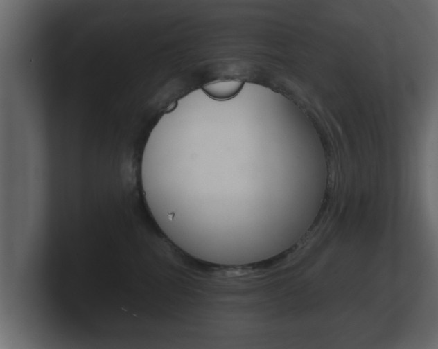 X0000101950282200807180709