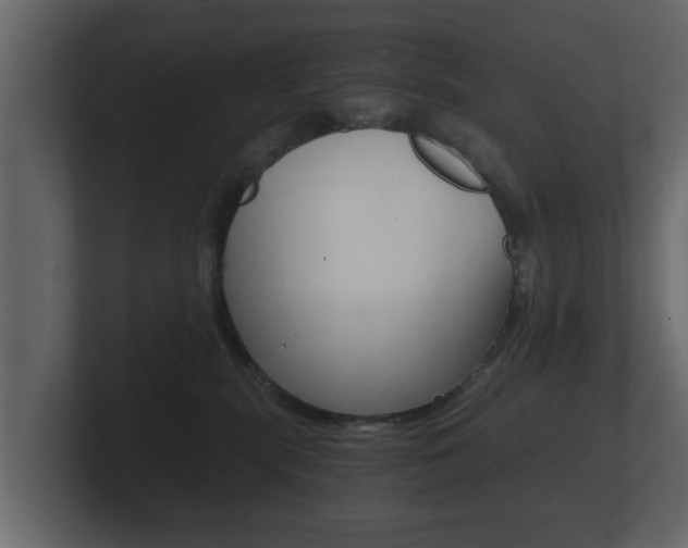 X0000101950283200807180709