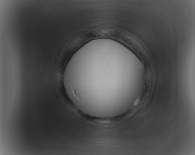 X0000101950284200807180709