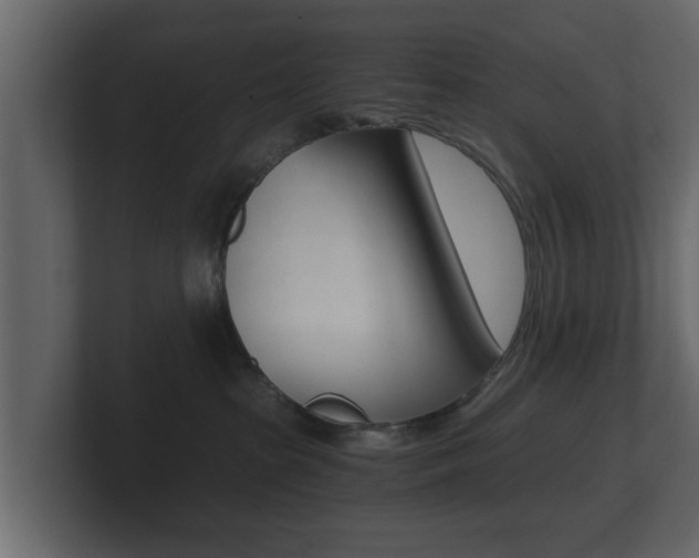 X0000101950285200807180709