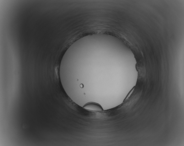 X0000101950286200807180709