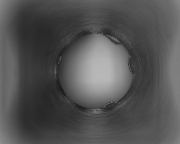 X0000101950288200807180709