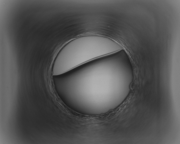 X0000101950289200807180708