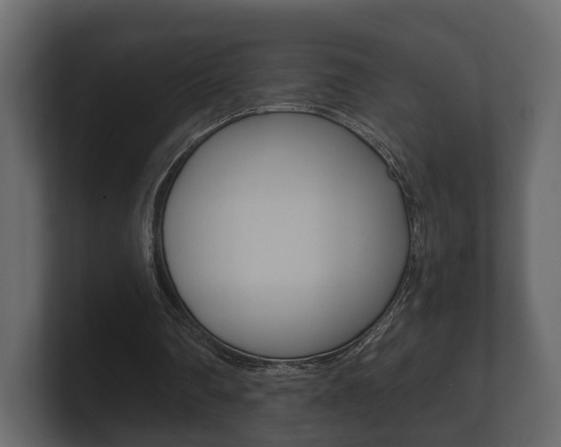 X0000101950290200807180708