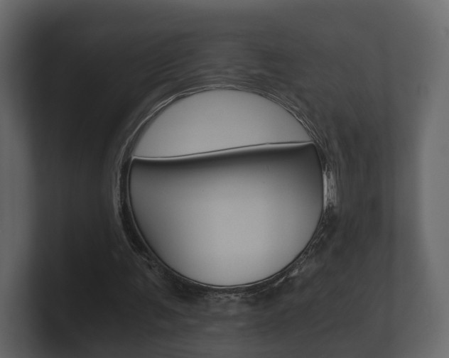 X0000101950291200807180708