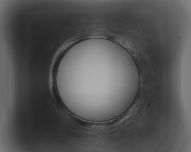 X0000101950294200807180708