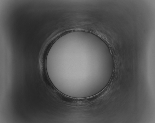 X0000101950295200807180708