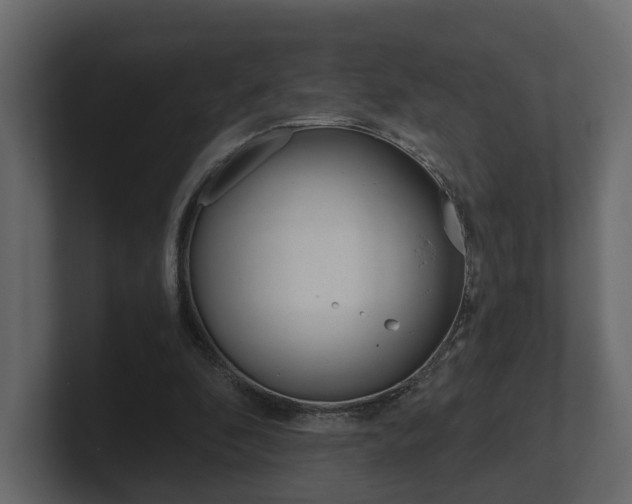 X0000101950296200807180708