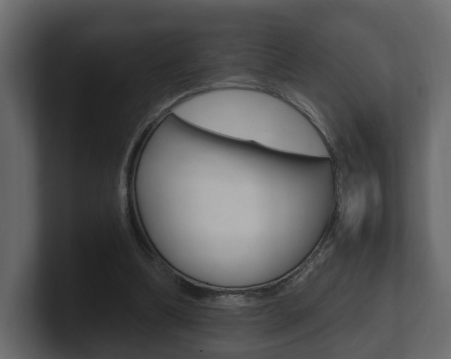 X0000101950298200807180708