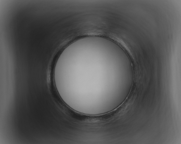 X0000101950299200807180708