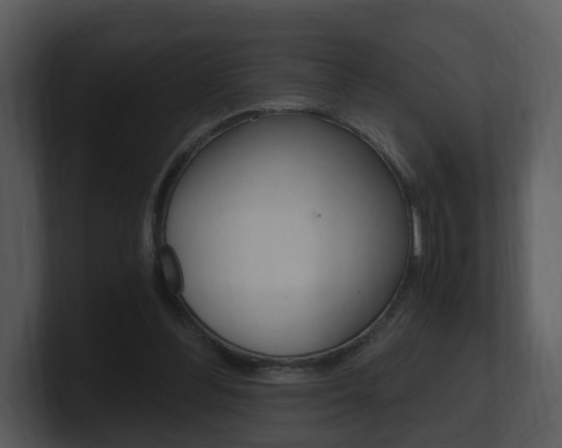 X0000101950300200807180708