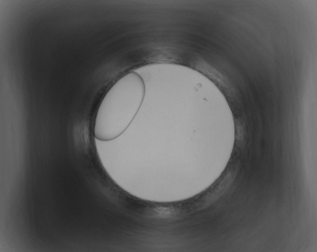 X0000101950302200807180708