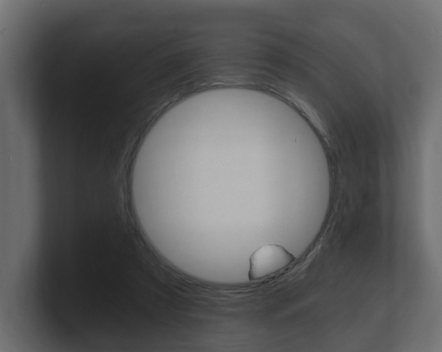 X0000101950305200807180708