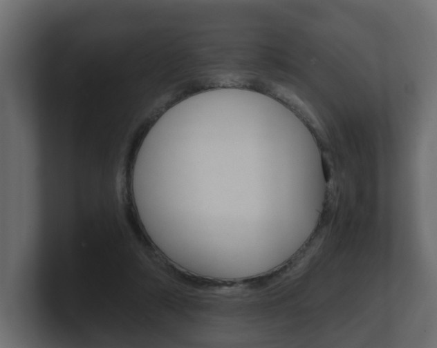 X0000101950306200807180708