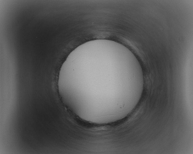 X0000101950307200807180708