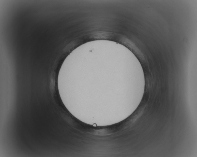 X0000101950309200807180708