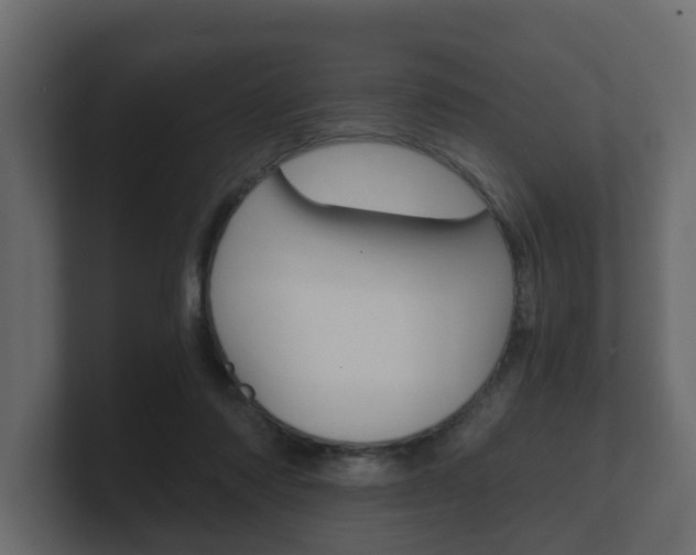 X0000101950310200807180708