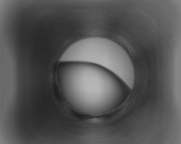 X0000101950312200807180708