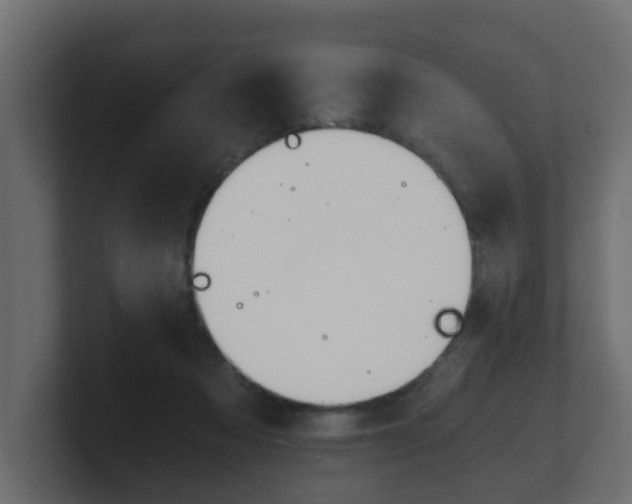 X0000101950313200807180708