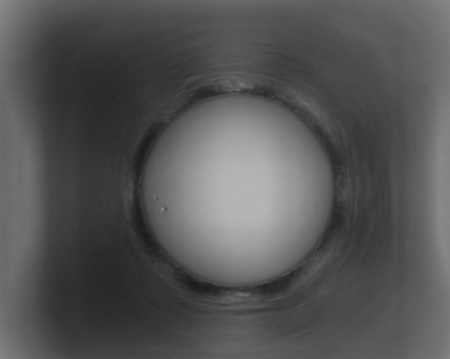 X0000101950315200807180708