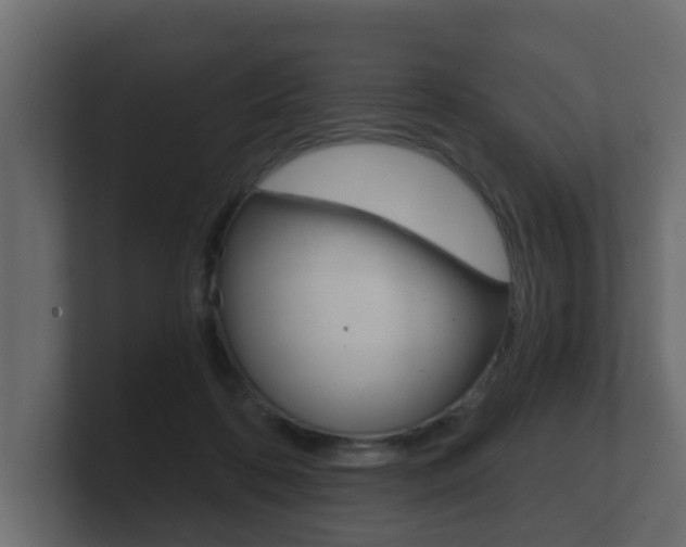 X0000101950316200807180708