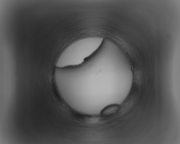 X0000101950318200807180708