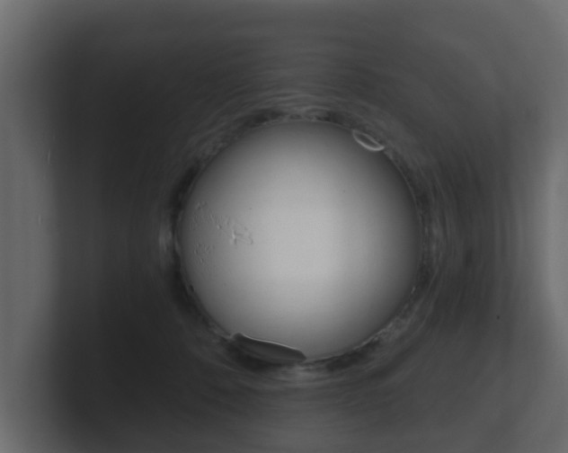 X0000101950320200807180708