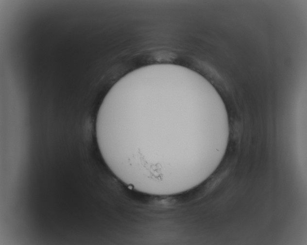 X0000101950321200807180708