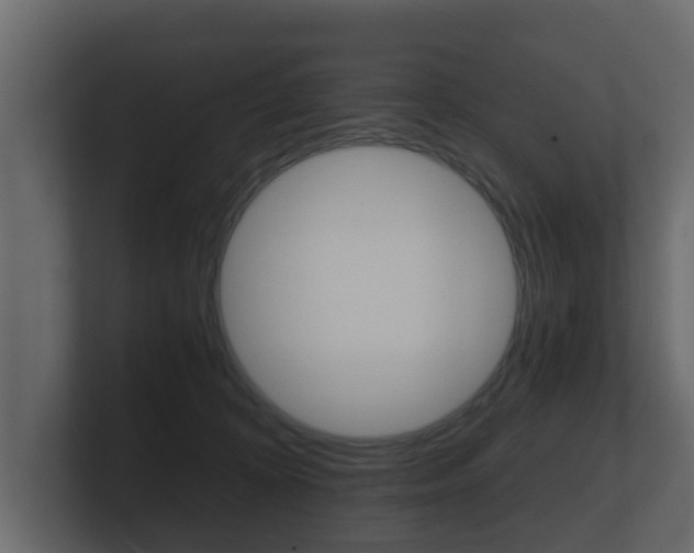 X0000101950324200807180708