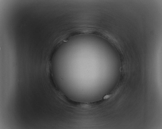 X0000101950325200807180708