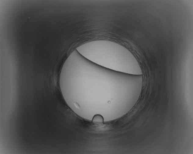 X0000101950326200807180708