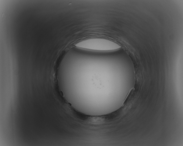 X0000101950327200807180708