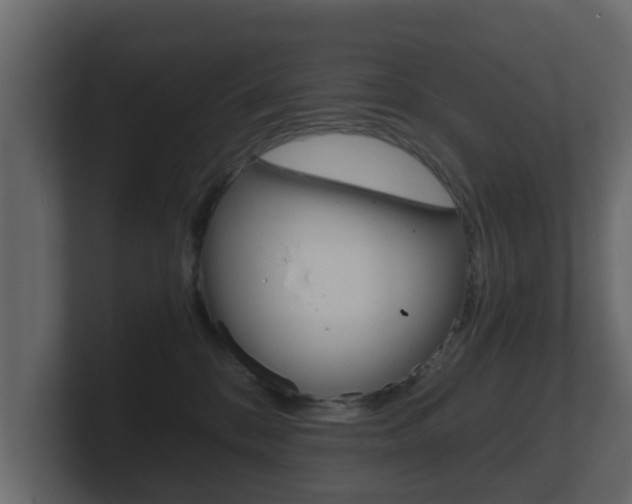 X0000101950328200807180708