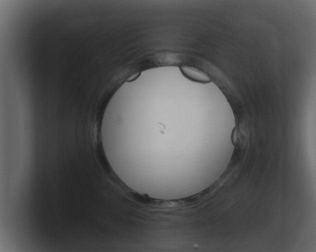 X0000101950330200807180708