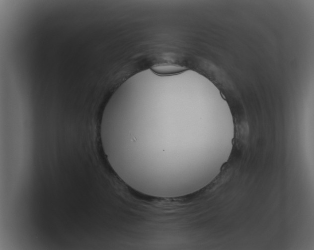 X0000101950331200807180708