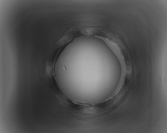 X0000101950332200807180708