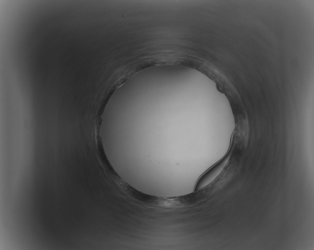 X0000101950333200807180708