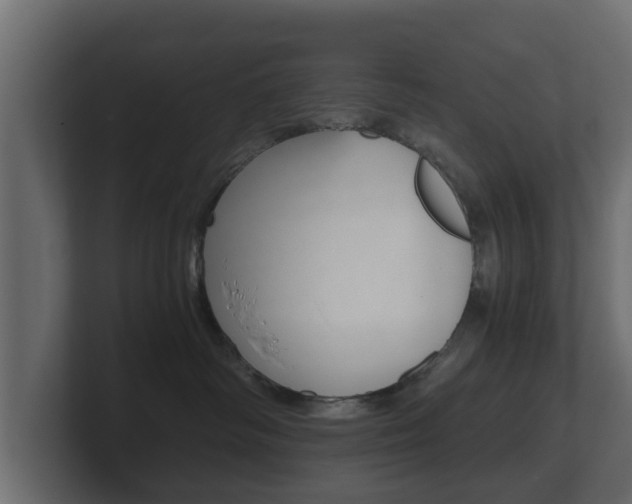 X0000101950334200807180708