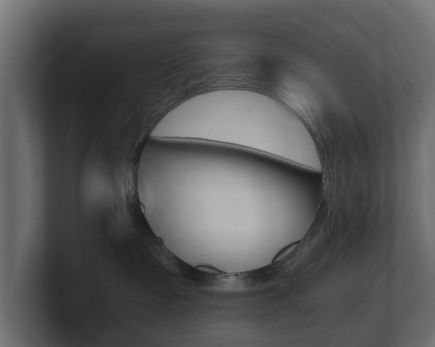 X0000101950335200807180708